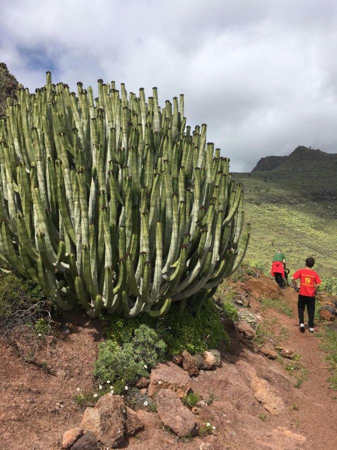 Casa Manel, La Gomera ซานเซบาสเตียน เด ลาโกเมรา ภายนอก รูปภาพ